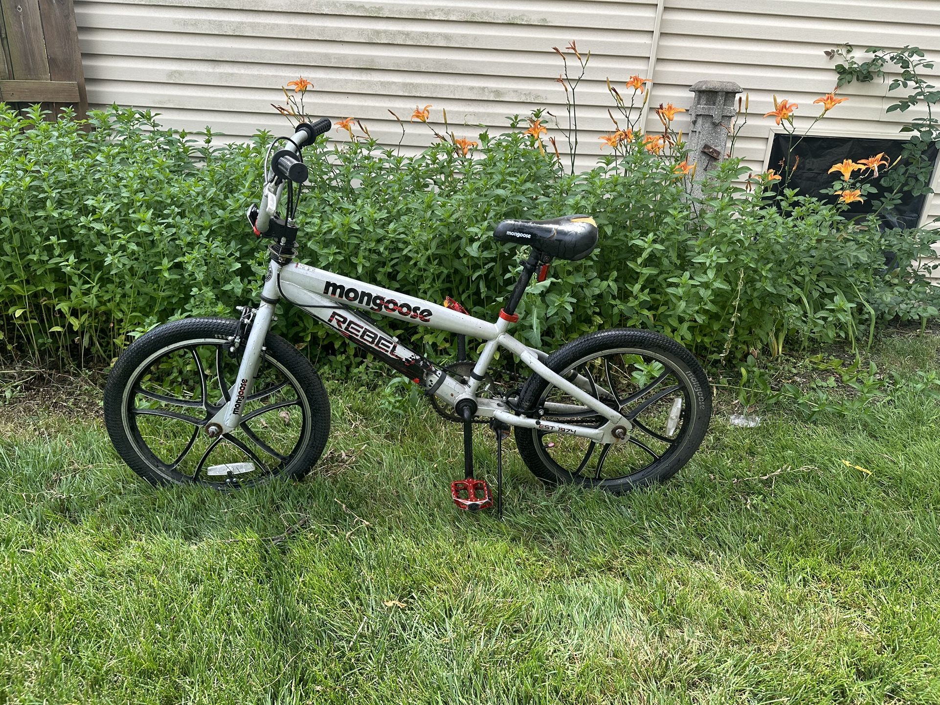 mongoose bike