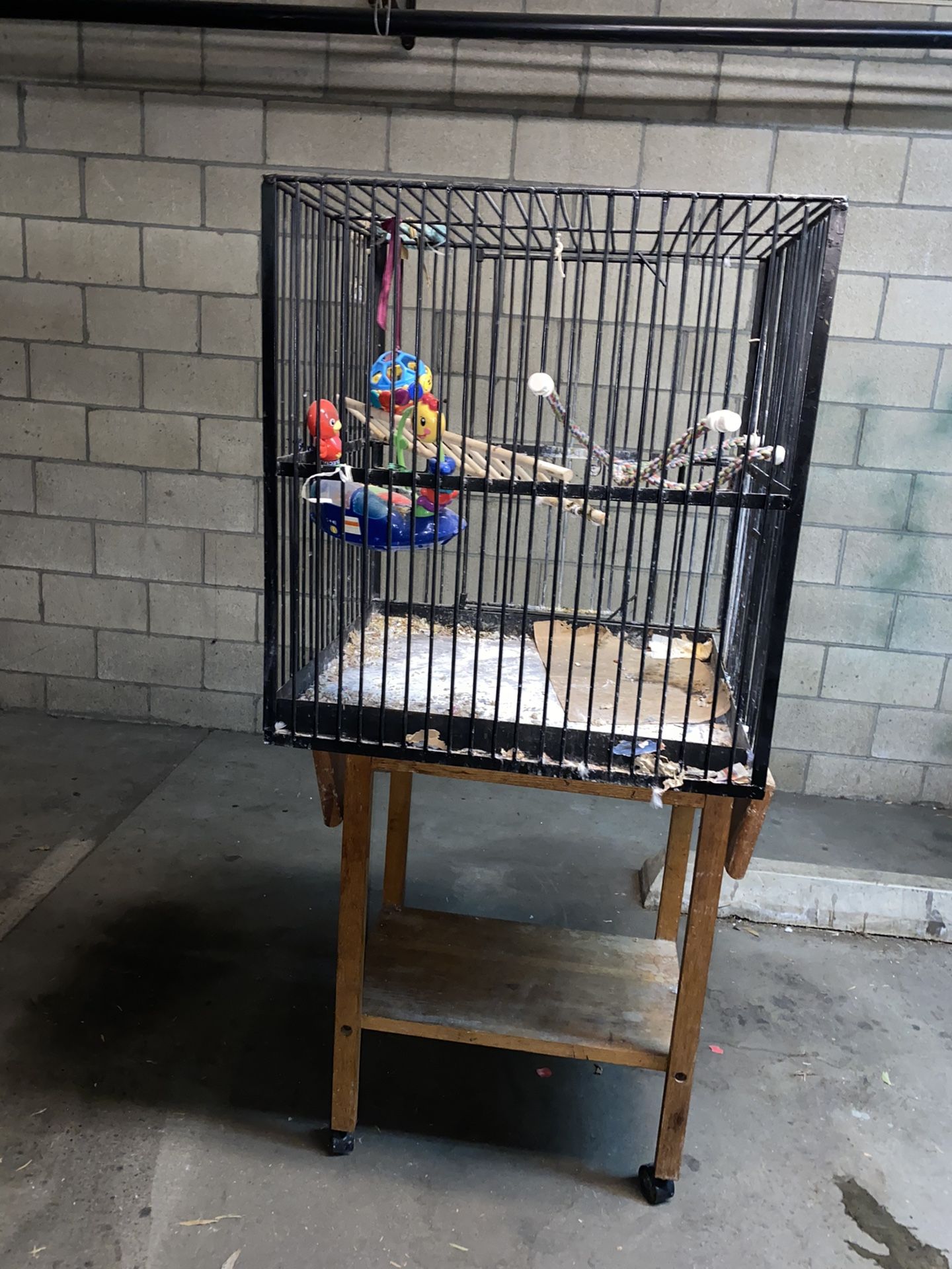 Big Bird Cage