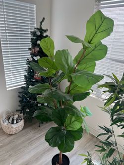 fake plants