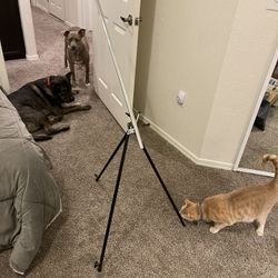 Art Easel 