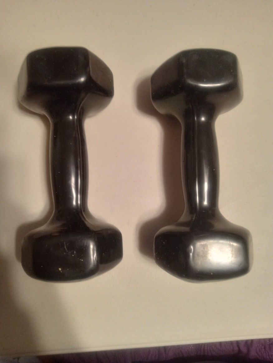 Pair of 8lb. Dumbbells