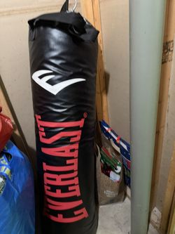 Everlast Punching Bag