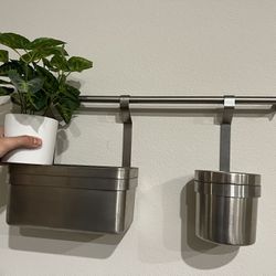 Plant holder
