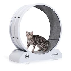 Cat Exercise Wheel for Indoor Cats, Large Cat Running Wheels