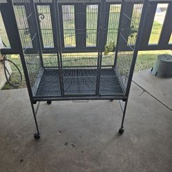Bird Cage