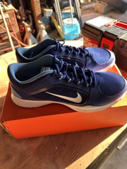 Nike Flex Trainer Blue