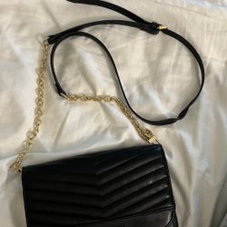 Steve Madden Purse.