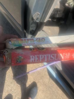reptile bulbs