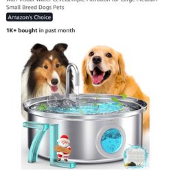 Dog Water Fountain 