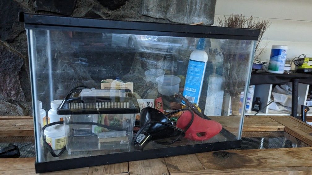 10 Gal Tank With Reptile Accessories