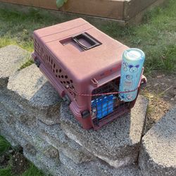 Pet Carrier.