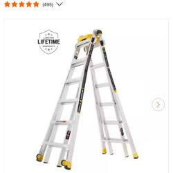 New Gorilla Ladder