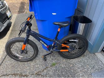REI kids co-op 20 inch wheel, 6 speed mtn bike