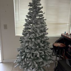 Christmas Tree 