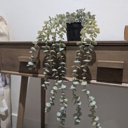 Artificial Eucalyptus 