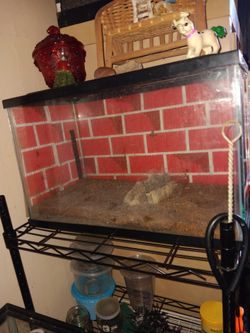 5 Gallon Tank