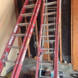 Werner 24 Ladder Wwwe