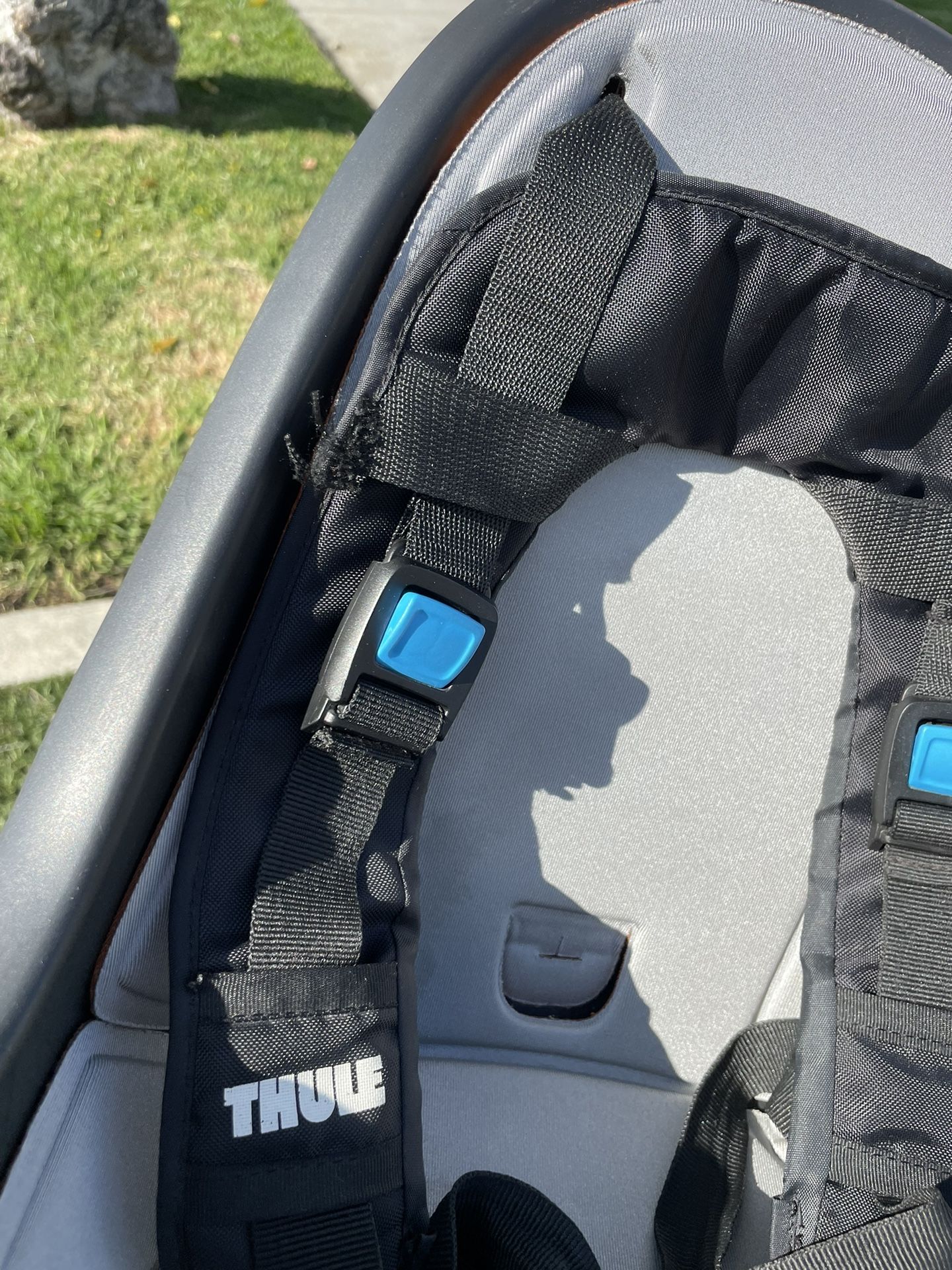 Thule Ridealong Mini Bike Seat & Windshield