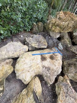 Florida Moss Rock Boulders — Native Landscape Stone (All Sizes)