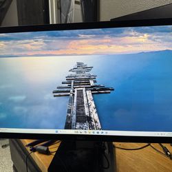 Dell 22 inch monitor.