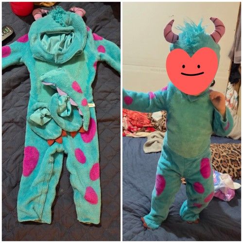 sully Halloween costume