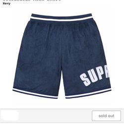 Supreme Ultrasuede Mesh Shorts