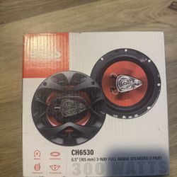 Boss Audio Speaker