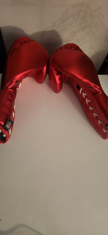12 Oz Boxing Gloves With FREE Hand Wraps