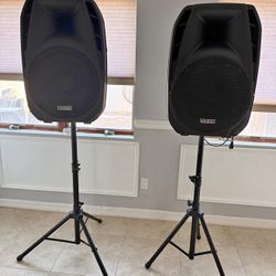 🚨🚨🚨 Edison Proffessional Blue Tooth Speakers