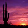 AZ Sunsets
