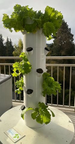 Tower Garden