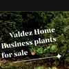 Valdez Home Business 🌿🪴🌳🍃
