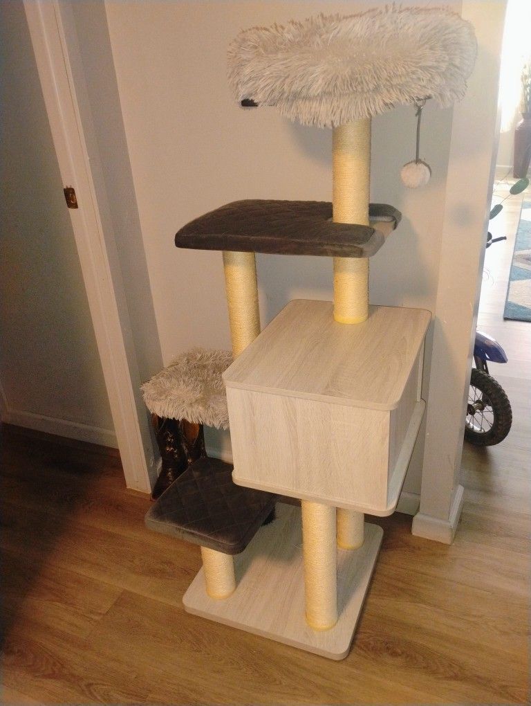 Cat Stand