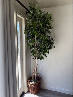 Artificial ficus tree