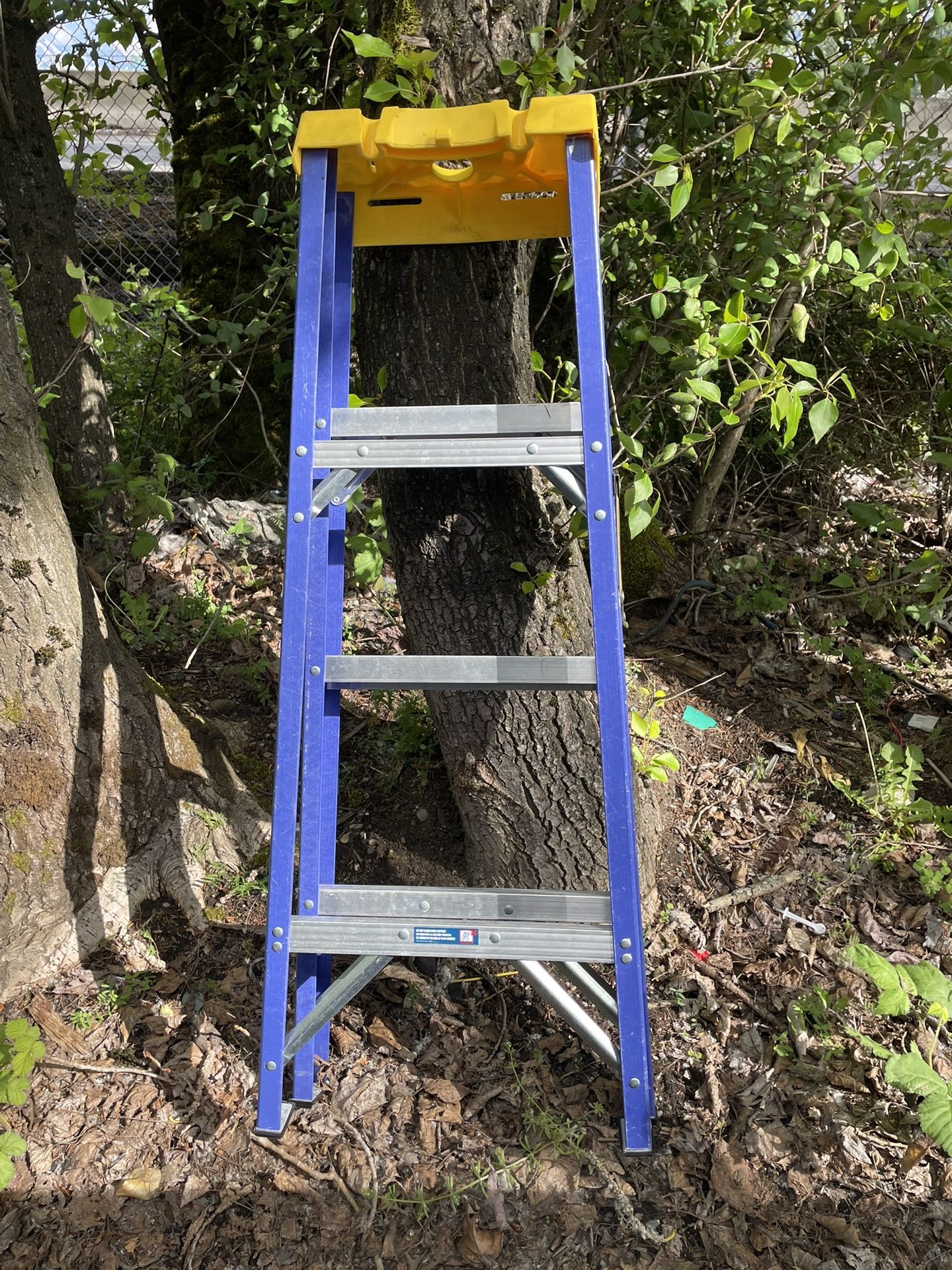 Werner 4 Foot Fiberglass Ladder