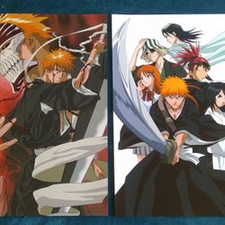 Bleach Anime Posters $10 Each