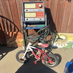 Radio Flyer bike 