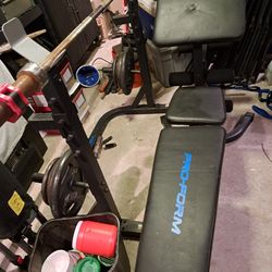 Pro Form Bench With Olympic Cap Weights