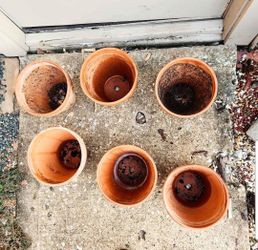 6 Terrecotta Planter pots