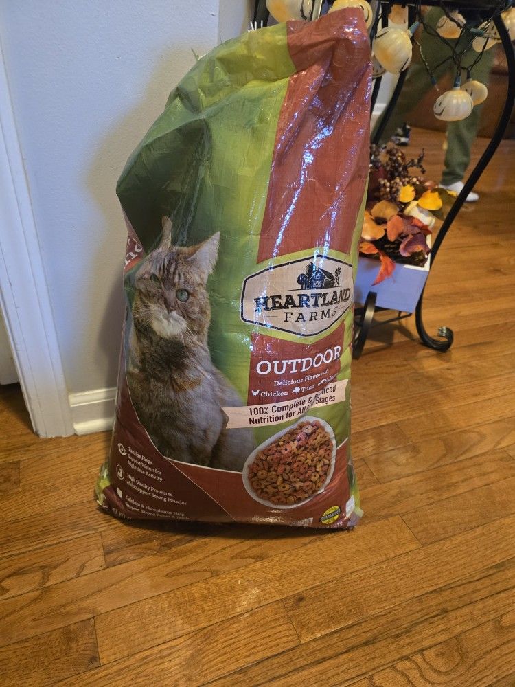 Cat Foor Free Outdoor