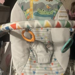 Baby Bouncer