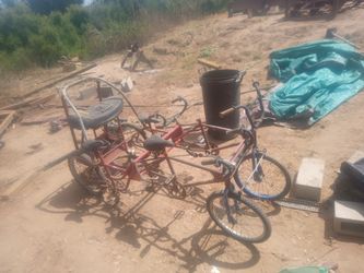 Four Person Custom Bike