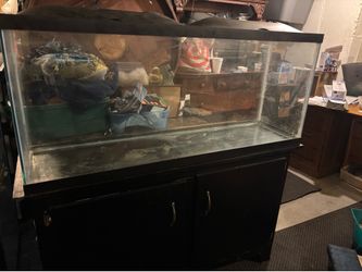 55 gallon aquarium and accessories