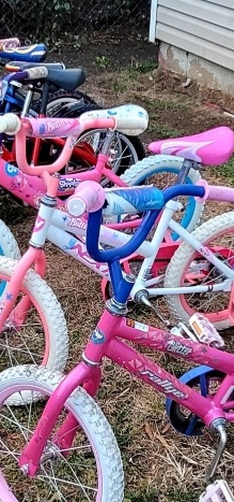 16 Inch Kids Bikes, $45 Each