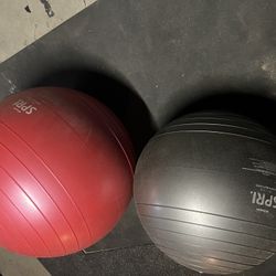 Elite Exercise Balls 65&55cm 