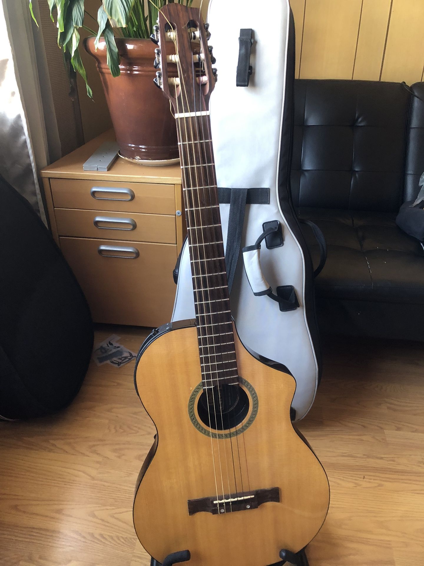 Line 6 Guitar Variax 300 Nylon