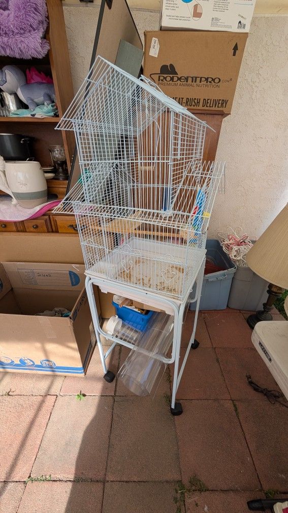 Bird Cage