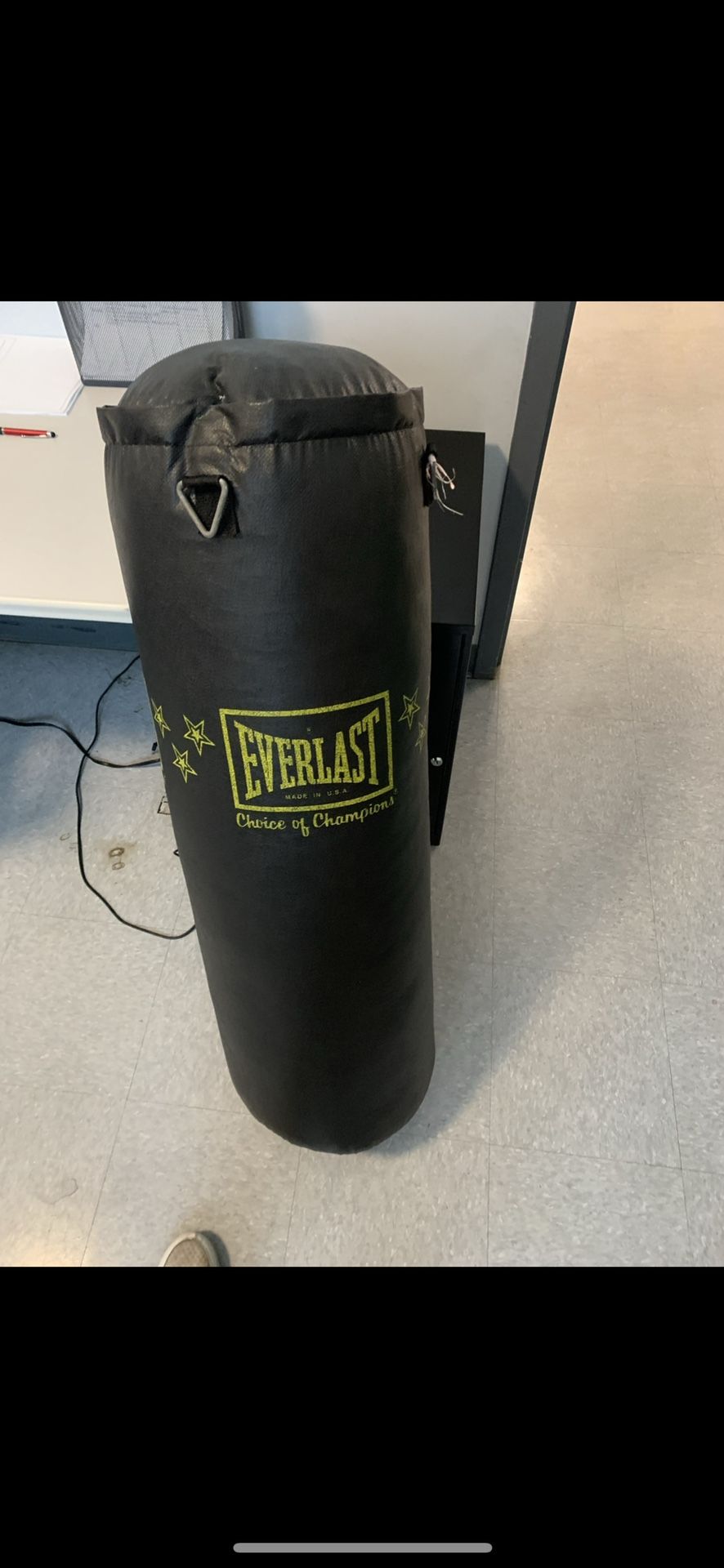 Everlast Punching Bag