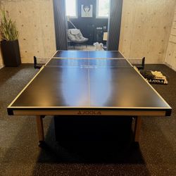 Ping Pong Table 