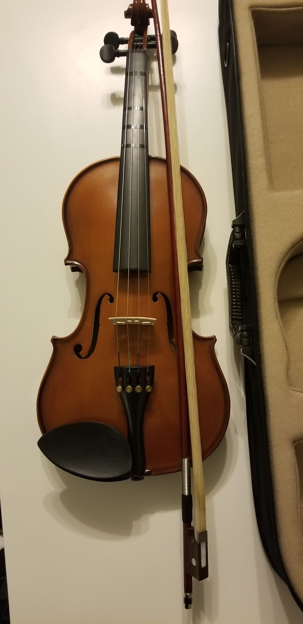 Violin